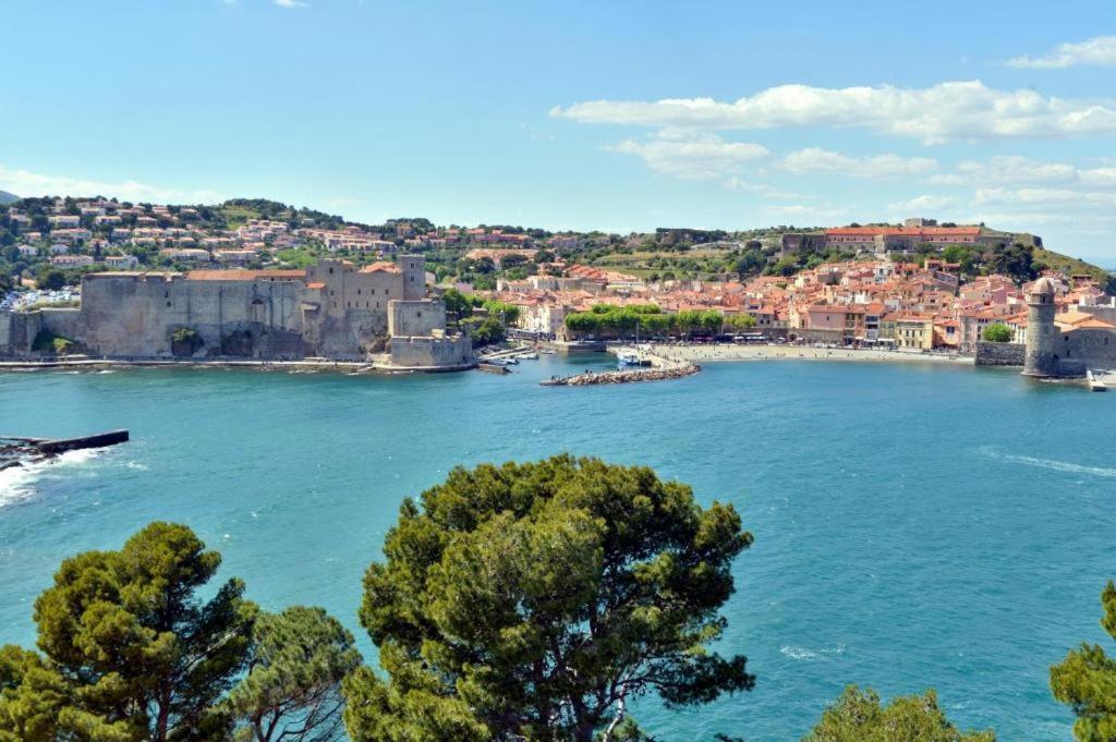 Ferienwohnung Vue Imprenable - Piscine - Parking Prive - Terrasse - Collioure Exterior foto